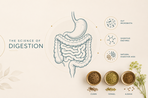 Bloating After Every Meal? 10 Gut Health Fixes for Indian Women
